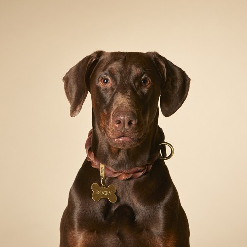 Collier Ascot en Cuir Gras Marron