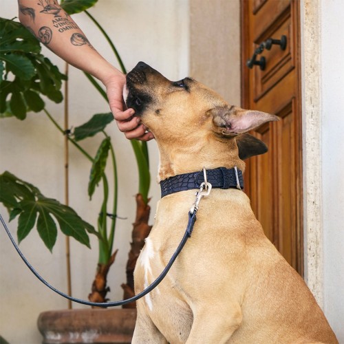 Collier Tucson en Cuir Véritable Bleu