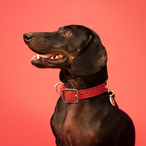 Collier Tucson en Cuir Véritable Rouge