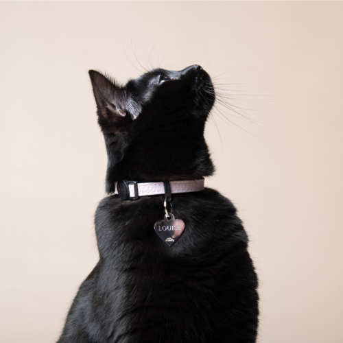 Soft Pink Florence Cat Collar in Genuine Leather