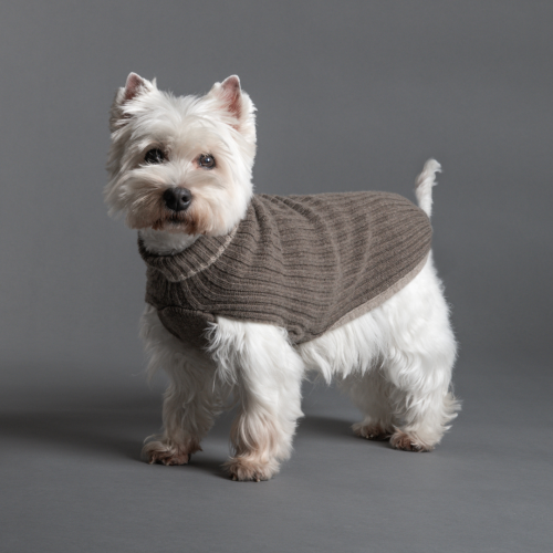 Pull pour Chiens Cortina en Côtes Taupe