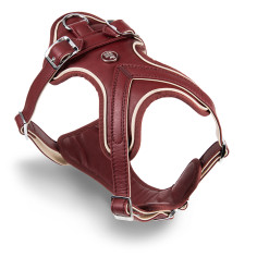 Brustgeschirr H Hermitage aus echtem Bordeaux und Creme...