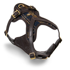 Brustgeschirr H Hermitage Tartan aus echtem braunes leder