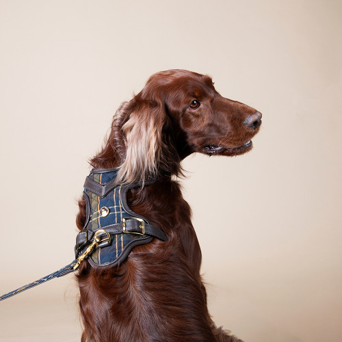Harnais H Hermitage Tartan en cuir véritable marron