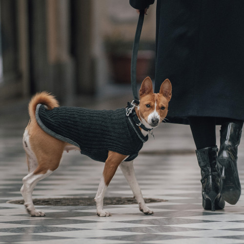 Suéter para Perros Cortina con Tejido...