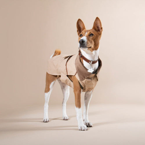 Veste pour Chiens Bristol avec...