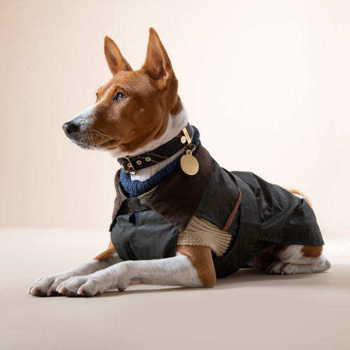 Chaqueta para Perros Bristol con...