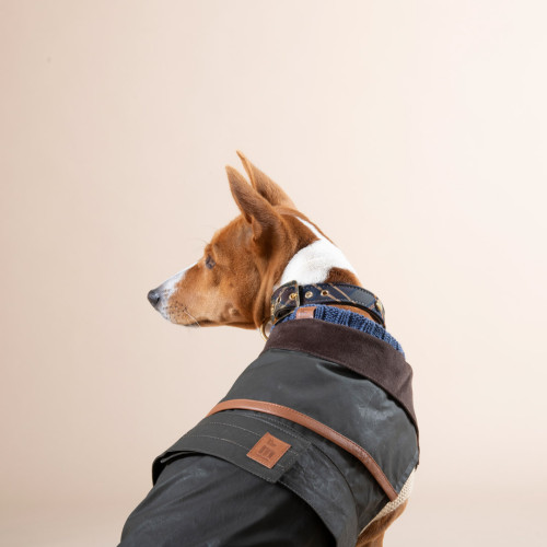 Giacca per Cani Bristol con Imbottitura Removibile - Verde Foresta