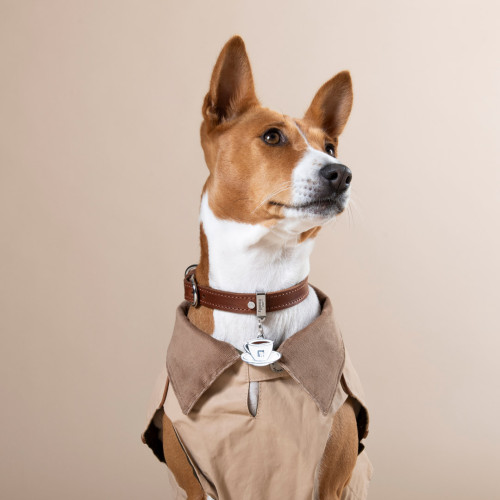 Jacke für Hunde Bristol mit abnehmbarem Futter - Beige