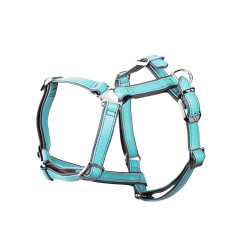 H Firenze Harnais en Cuir Véritable Vert Clair