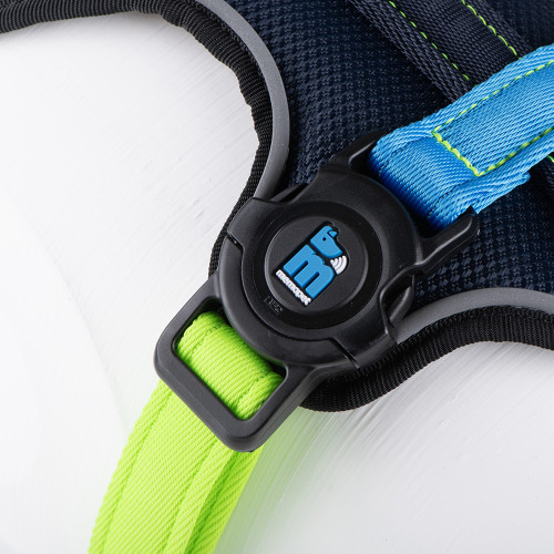 memopet® ID Customizable Color Block...