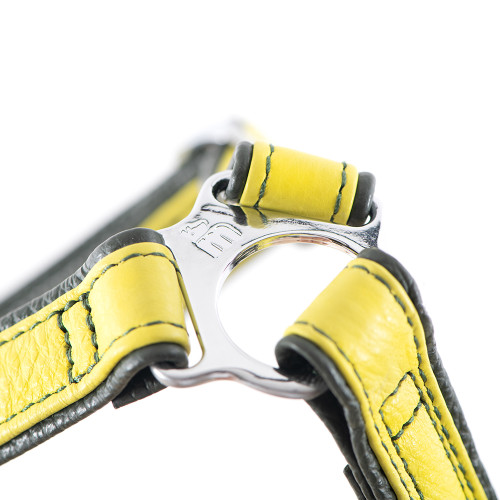 H Firenze Geschirr aus echtem Leder Lime