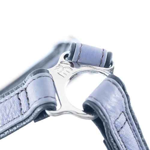 H Firenze Geschirr aus echtem Leder Blau