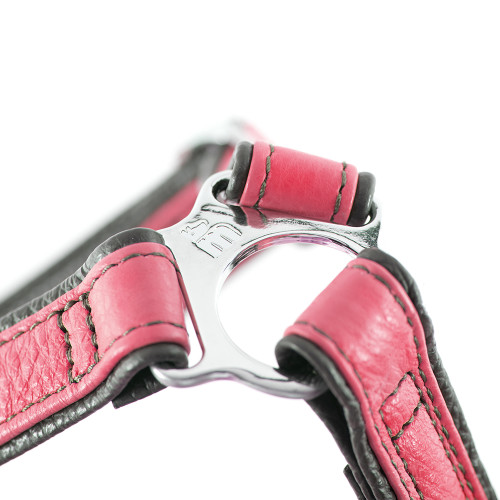 H Firenze Geschirr aus echtem Leder Fuchsia