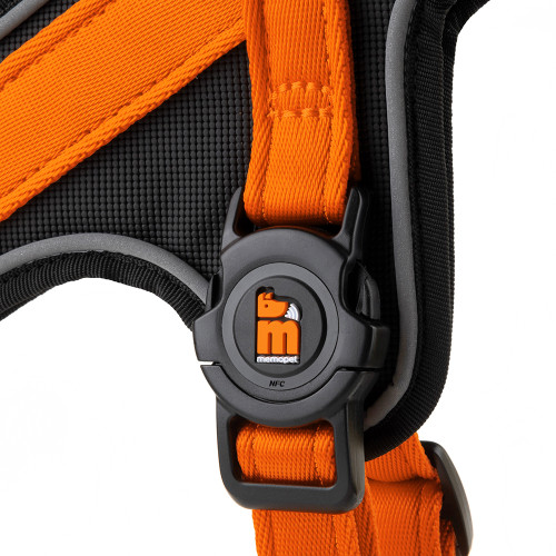 Harnais Y memopet® ID Personnalisable Orange
