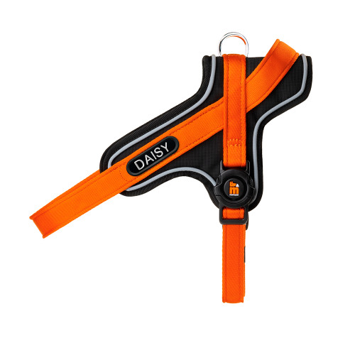 Arnés Y memopet® ID Personalizable...