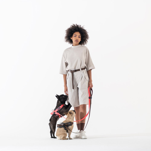 memopet® ID Customizable Orange...