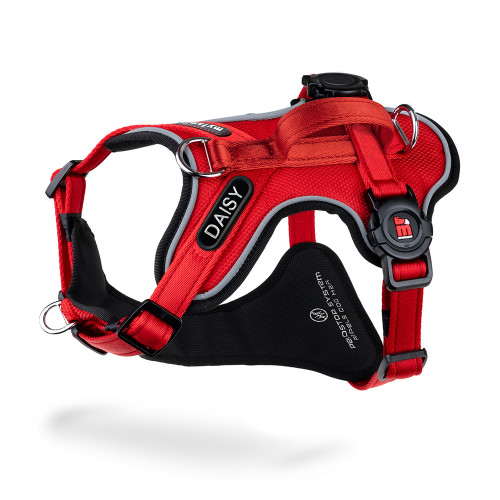 Arnés H memopet® ID Personalizable Rojo
