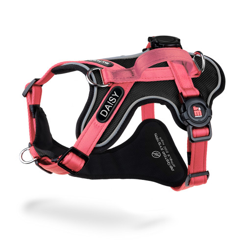 Arnés H memopet® ID Personalizable Rosa