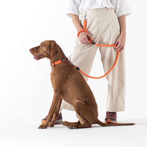 Collar memopet® ID Personalizable Rojo