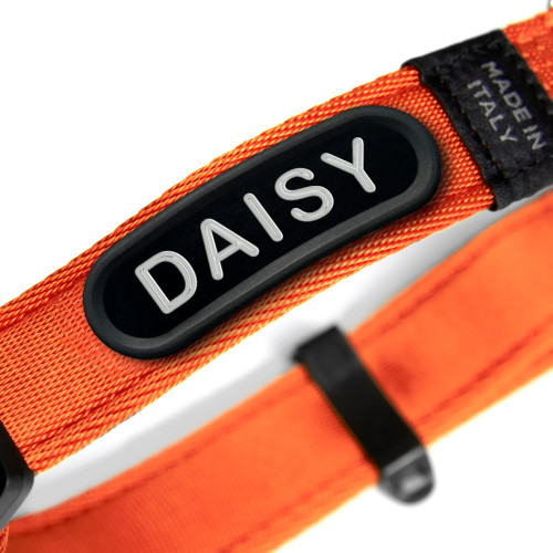 Collar memopet® ID Personalizable Naranja