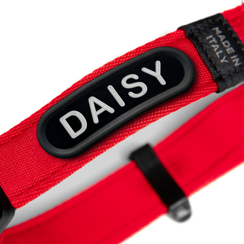 Collar memopet® ID Personalizable Rojo