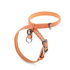 Harnais X Saint Tropez en Fibre Synthétique Mandarine