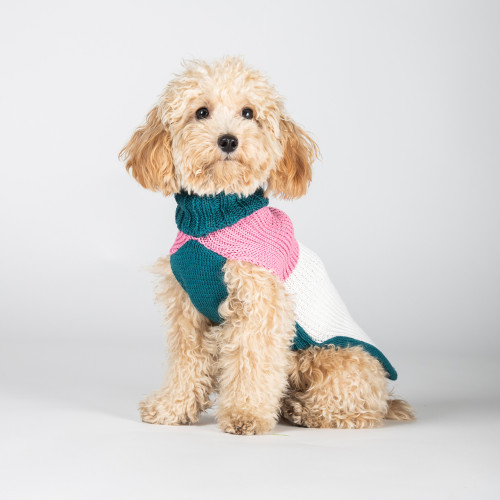 Suéter para Perros Cortina Teal Bloom