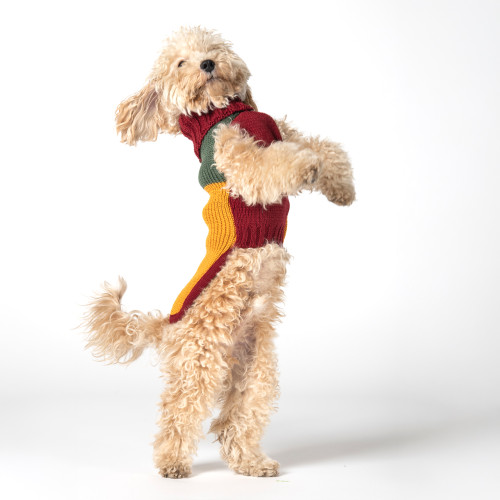 Suéter para Perros Cortina Rosewood
