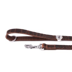 Laisse Tucson en Cuir Véritable Marron
