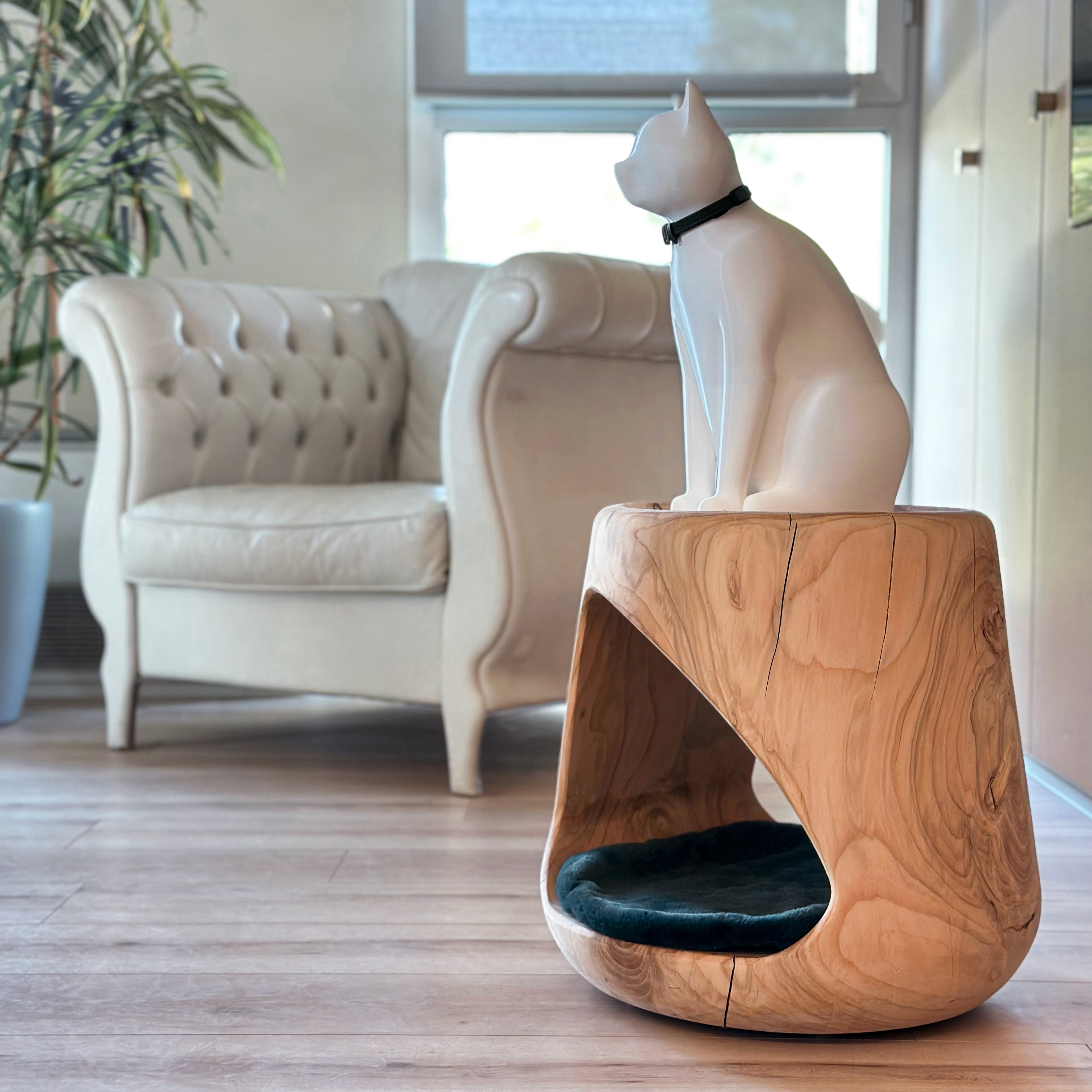 Coffee Table Bed